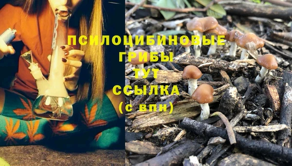 ECSTASY Балабаново