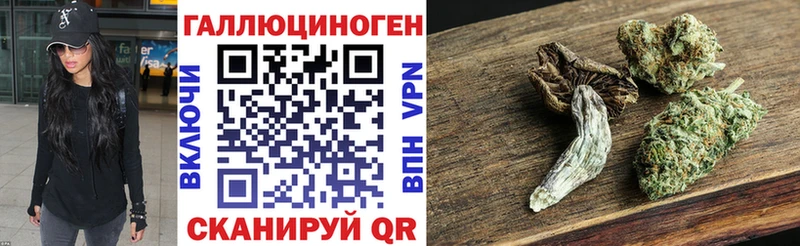 Галлюциногенные грибы Psilocybe  OMG ТОР  Тайга 